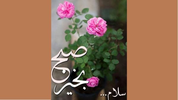 فال ابجد امروز ، 2 بهمن ماه فال ابجد امروز ، 2 بهمن ماه