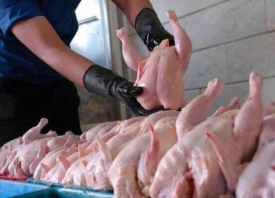 هر کیلو فیله مرغ 117 هزار تومان ، جدیدترین قیمت مرغ در بازار